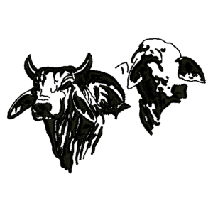 935 - Dos Toros