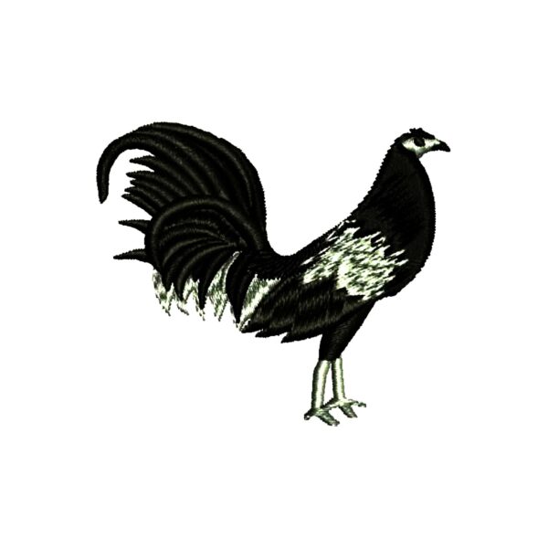810