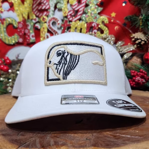 Gorra Richardson – Blanco – Toro