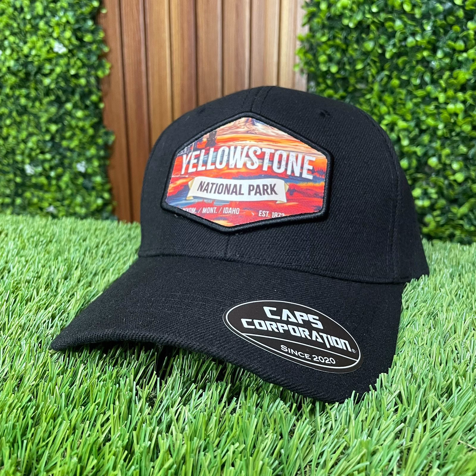 GORRA VALUCAP BLACK- YELLOWSTONE
